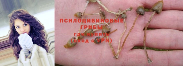 крисы Алексеевка