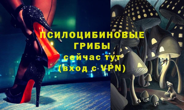 spice Алексин