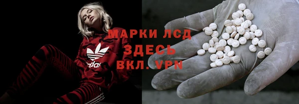 дживик Вязьма