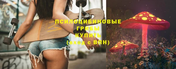 spice Алексин