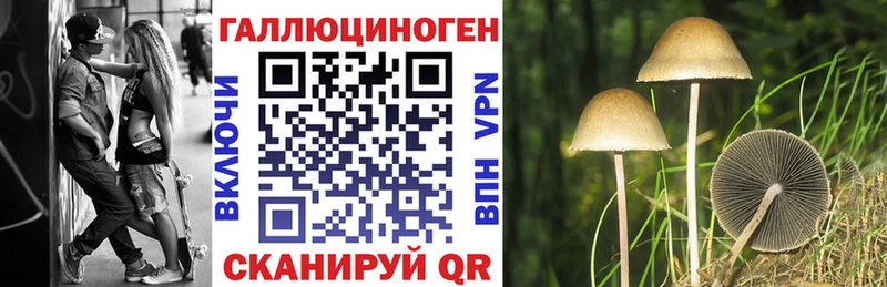 blacksprut tor  нарко площадка состав  Минусинск  Псилоцибиновые грибы мицелий  где купить наркоту 